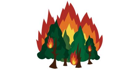 Razglašena je velika požarna ogroženost naravnega okolja na območju celotne države